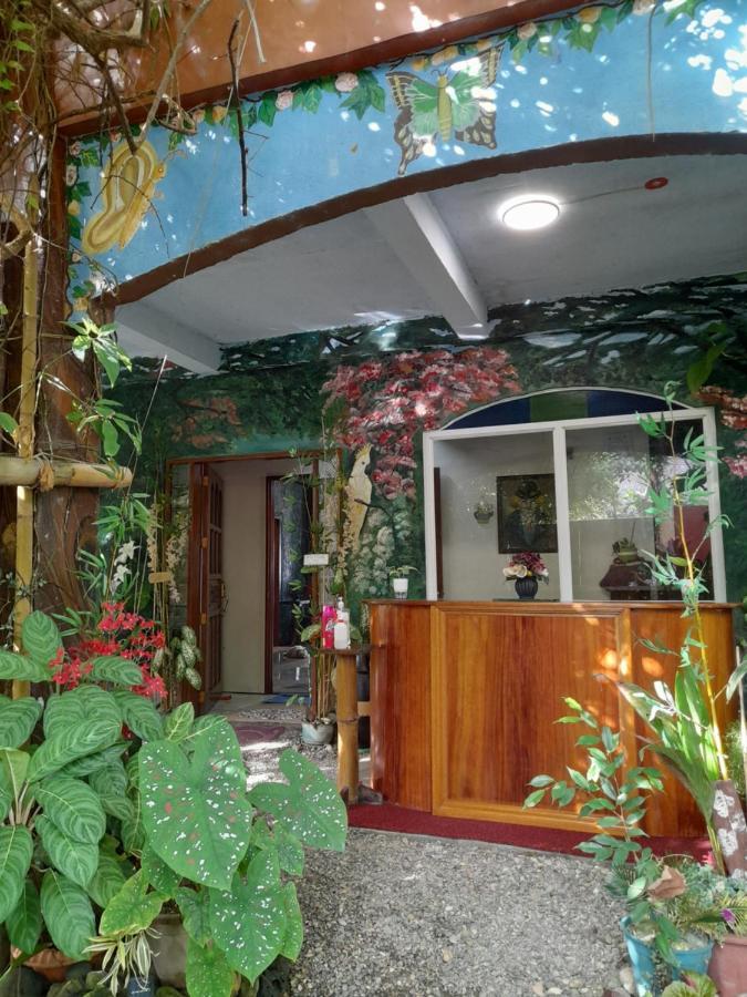 Toni Arts Villa Nabas