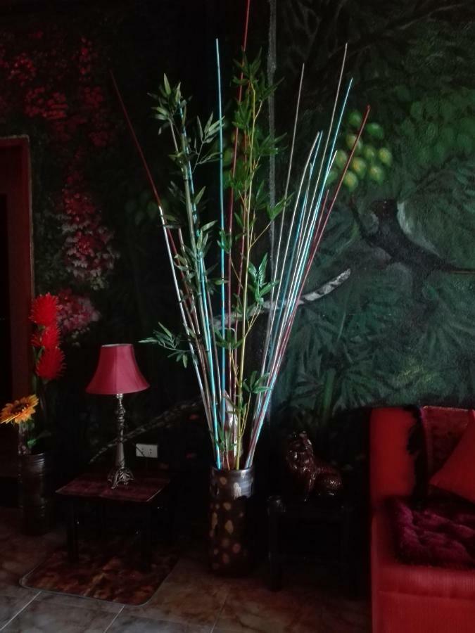 Toni Arts Villa Nabas
