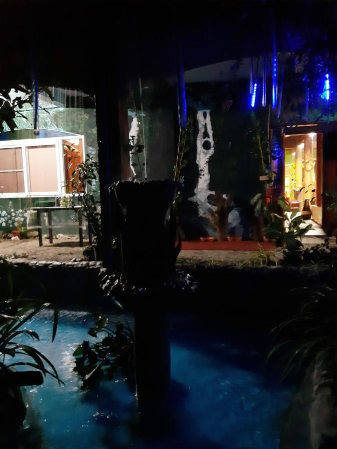 Toni Arts Villa *